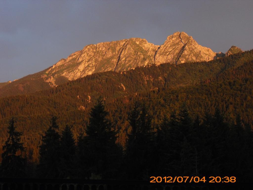 Hotel Siwarna Natura Tour Zakopane Exteriér fotografie