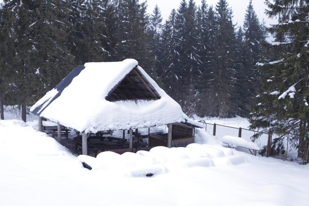 Hotel Siwarna Natura Tour Zakopane Exteriér fotografie